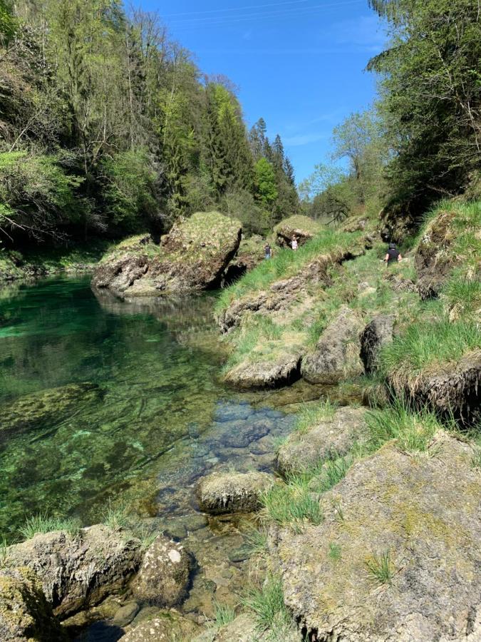 Ferienhaeuschen Am Traunsee Mit Tretboot Zur Freien Nutzung Am Badeplatz Altmünster Exteriör bild