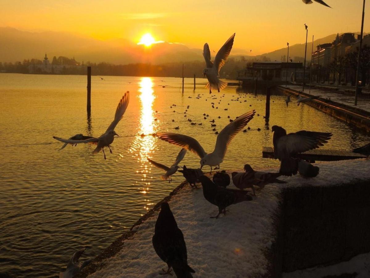 Ferienhaeuschen Am Traunsee Mit Tretboot Zur Freien Nutzung Am Badeplatz Altmünster Exteriör bild