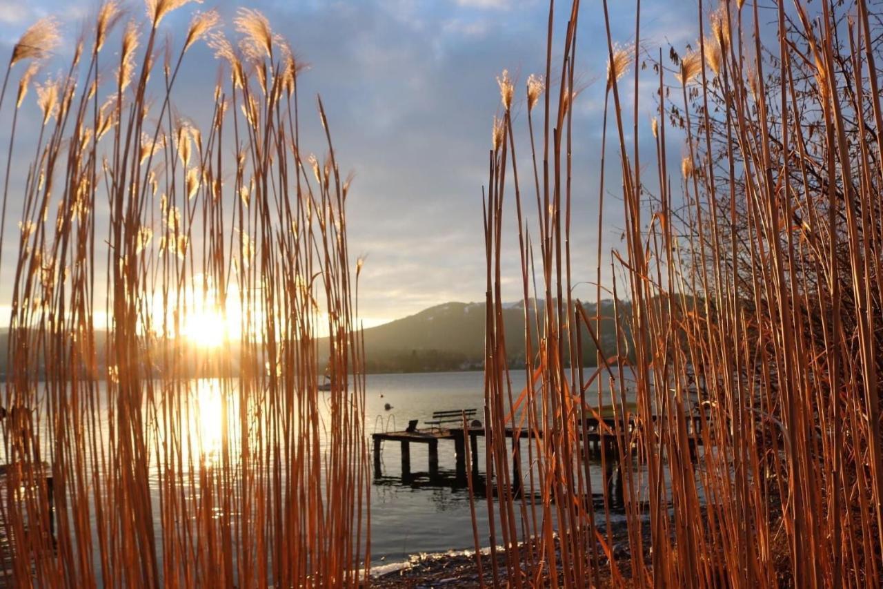 Ferienhaeuschen Am Traunsee Mit Tretboot Zur Freien Nutzung Am Badeplatz Altmünster Exteriör bild